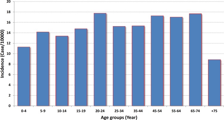 Fig 3