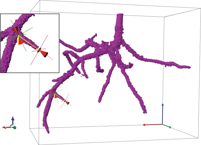 Fig. 8.