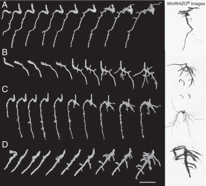 Fig. 4.