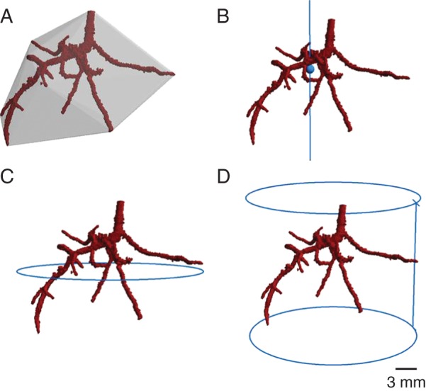 Fig. 1.