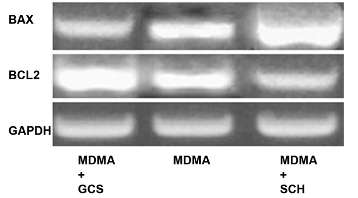 Fig 5