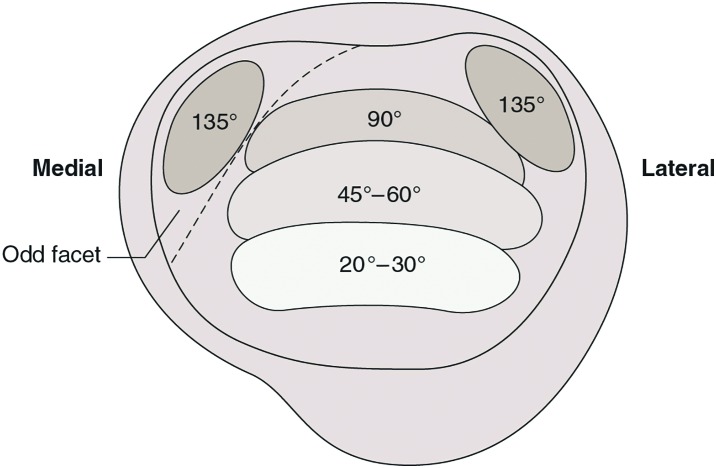 Figure 12.