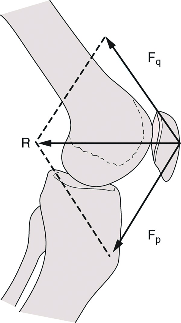 Figure 13.