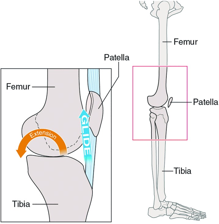 Figure 11.