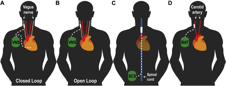 Figure 2