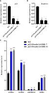 Figure 6