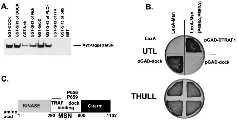 FIG. 1