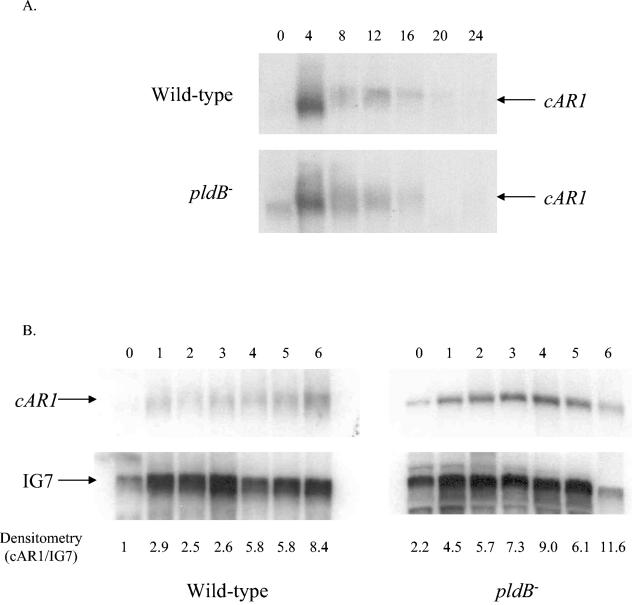 FIG. 8.