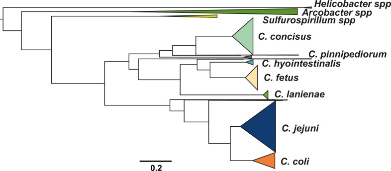 Figure 2—figure supplement 1.