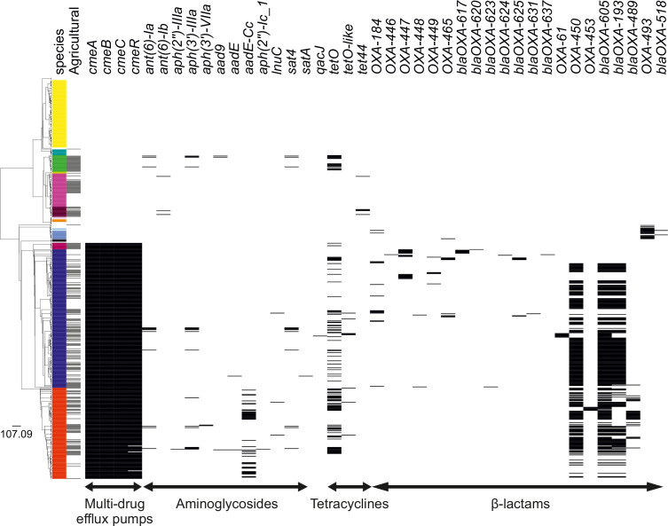 Figure 5—figure supplement 1.