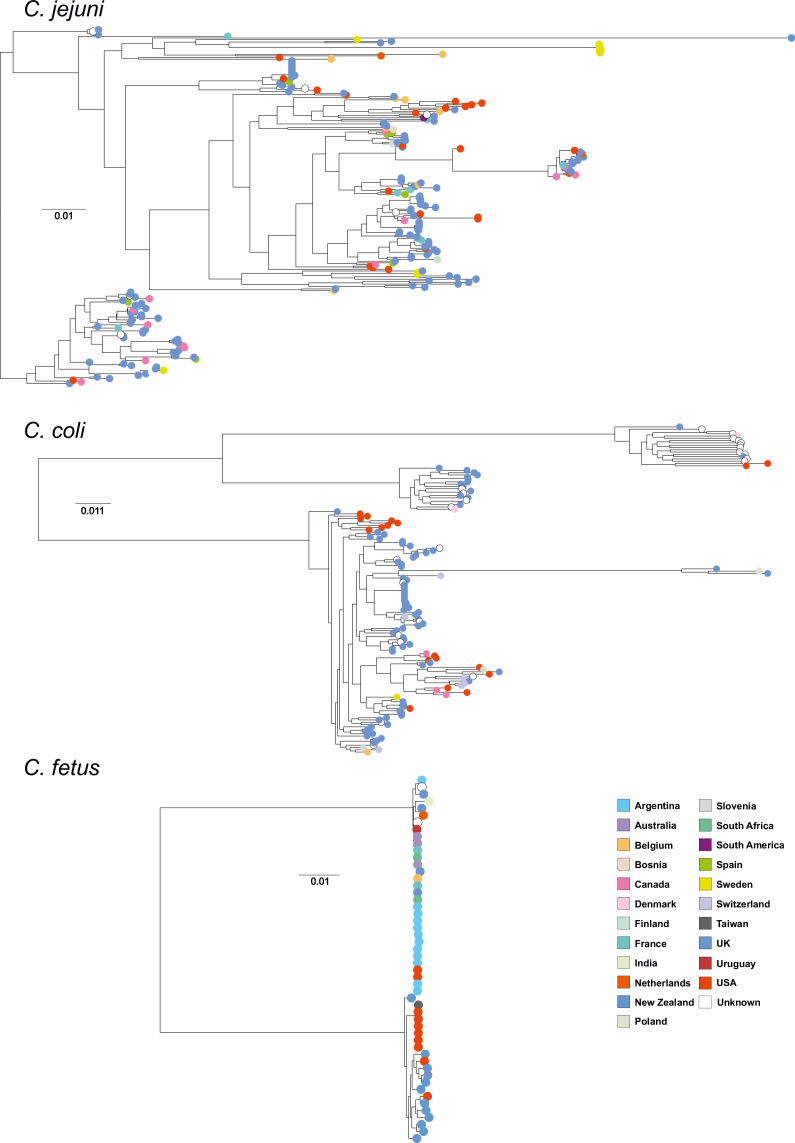 Figure 2—figure supplement 4.