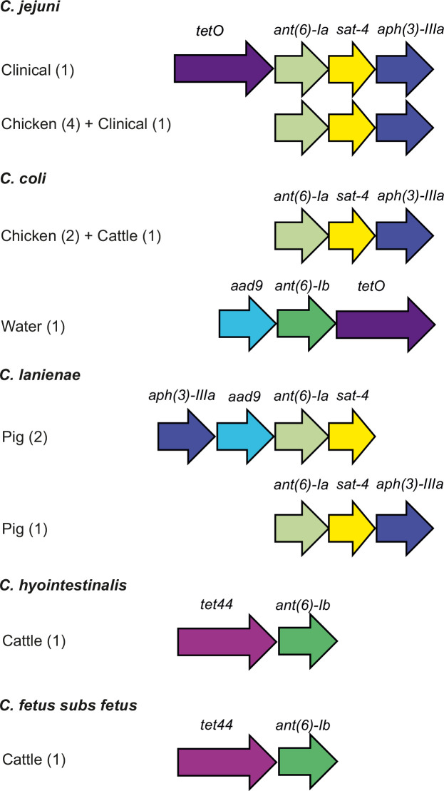 Figure 5—figure supplement 2.