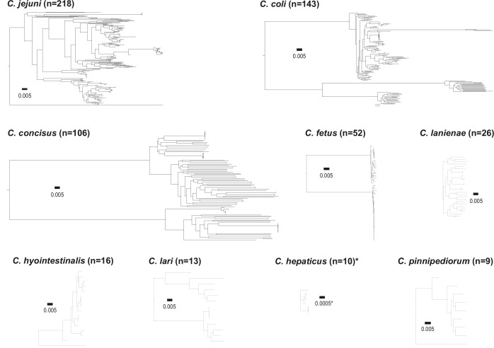 Figure 2—figure supplement 2.