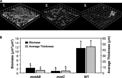 FIG. 6.