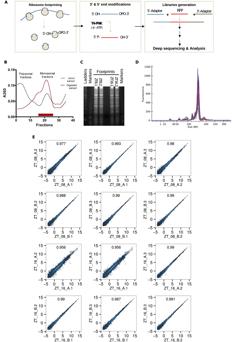 Fig. S1.