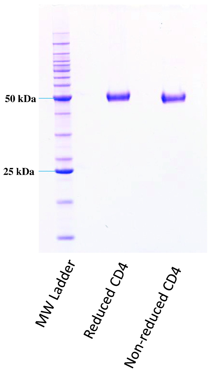 Fig. 2: