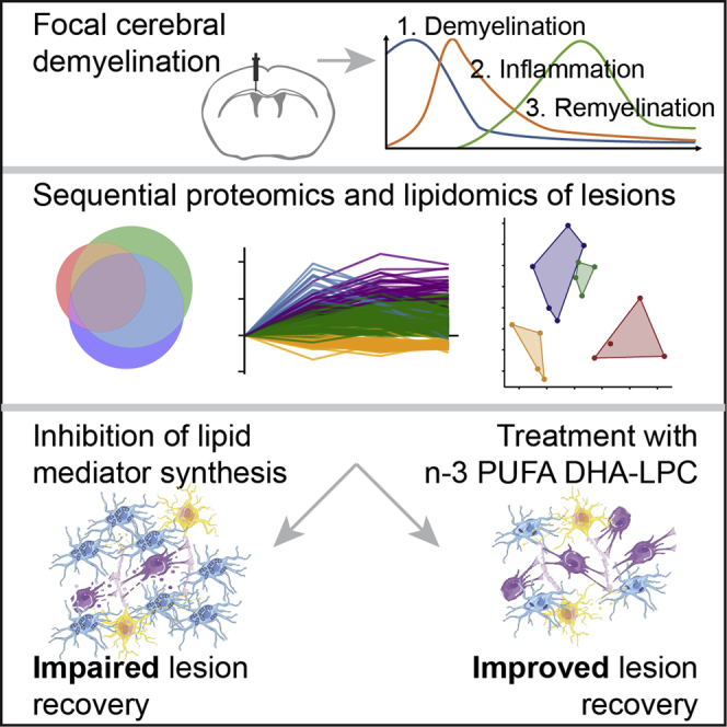 graphic file with name fx1.jpg