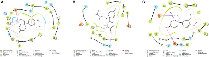 Figure 7