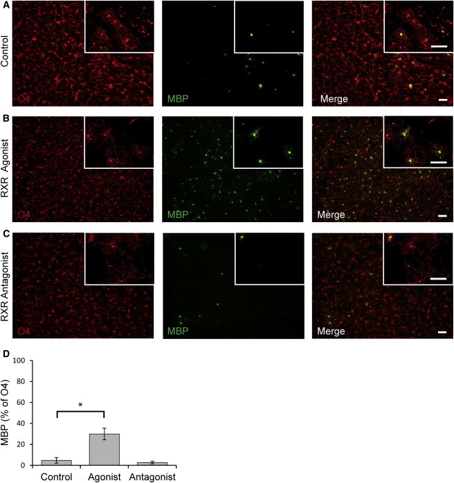 Figure 6