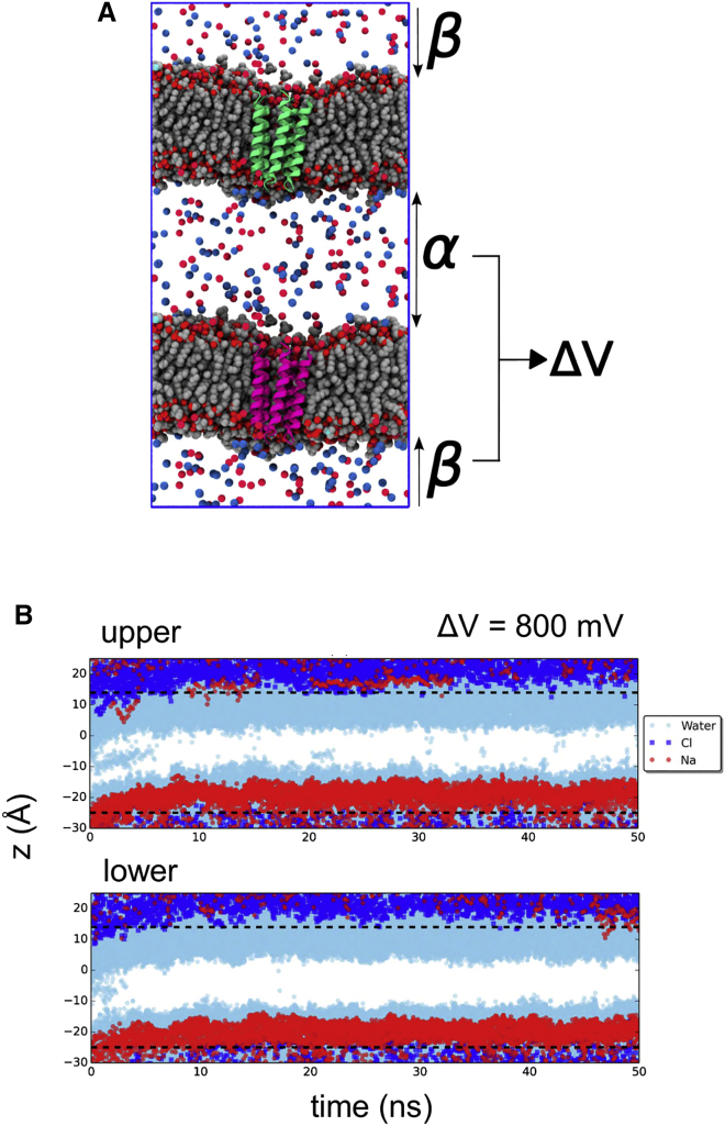 Figure 5