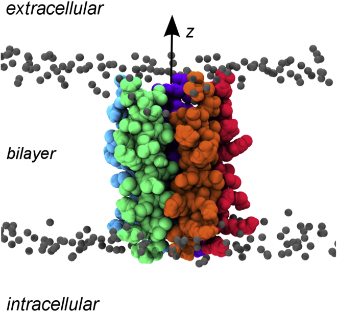 Figure 2