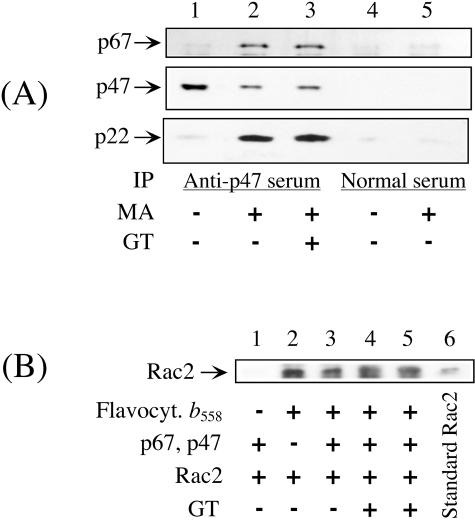 FIG. 5.