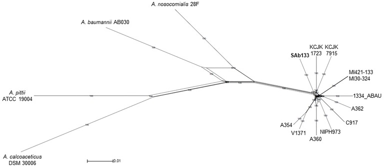 FIGURE 2