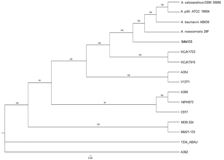 FIGURE 1