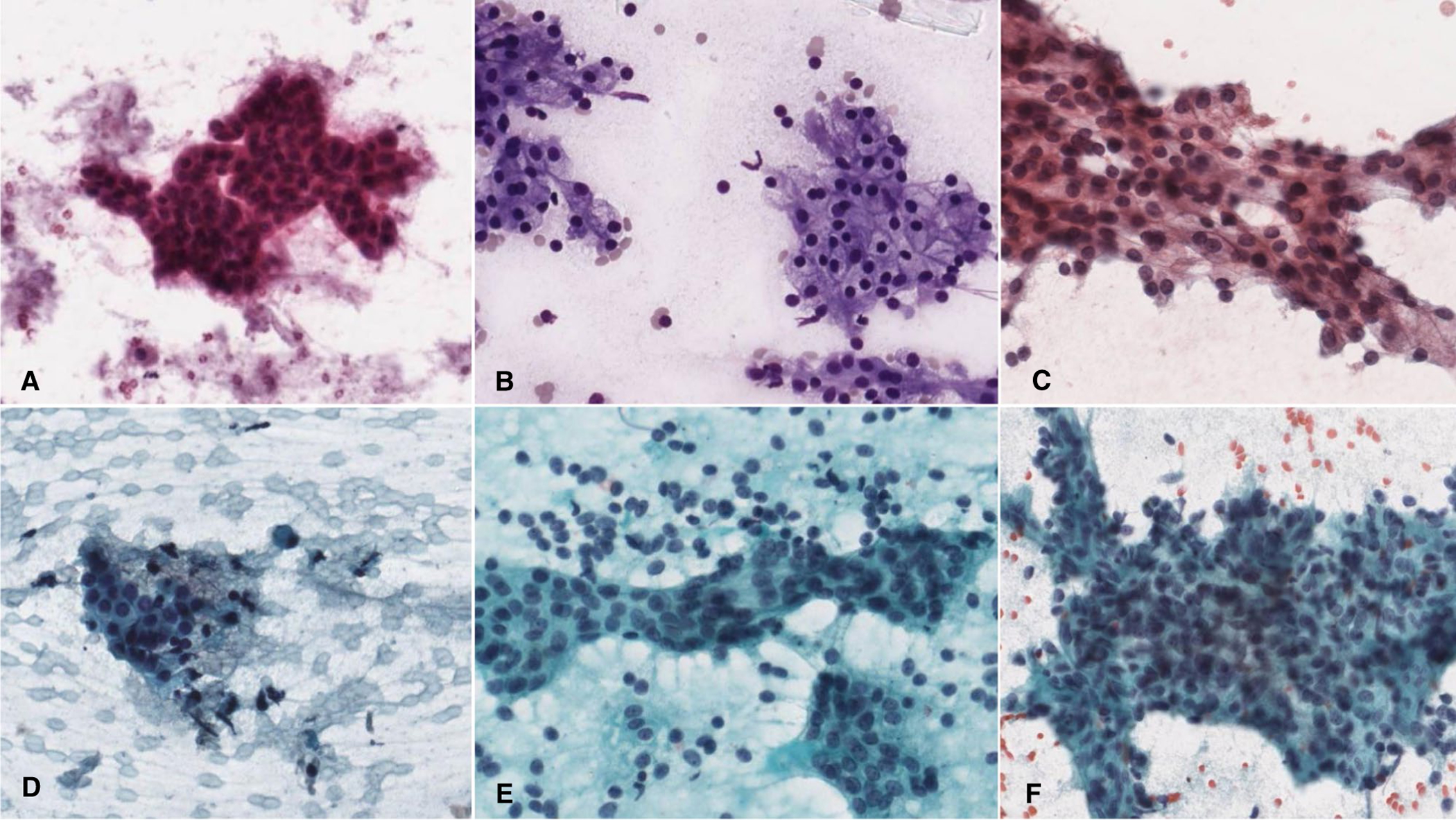 FIGURE 2.