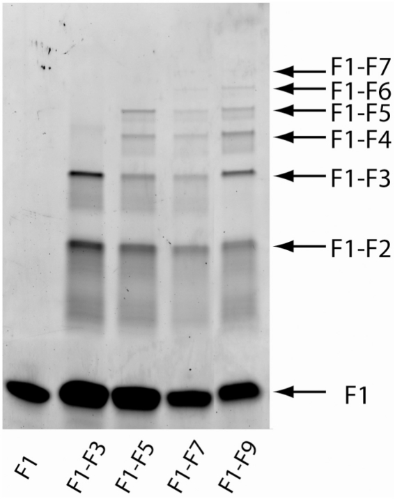 Figure 6.