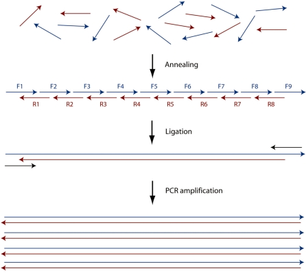 Figure 5.