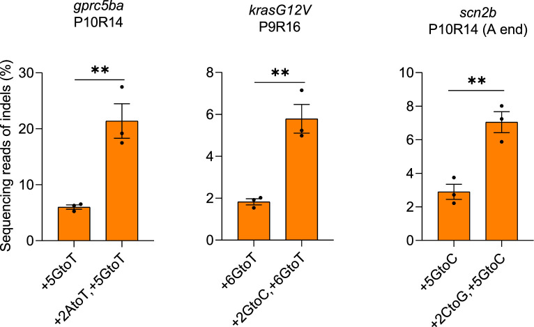 Figure 2—figure supplement 3.