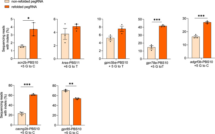 Figure 1—figure supplement 1.