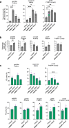 Figure 2—figure supplement 2.