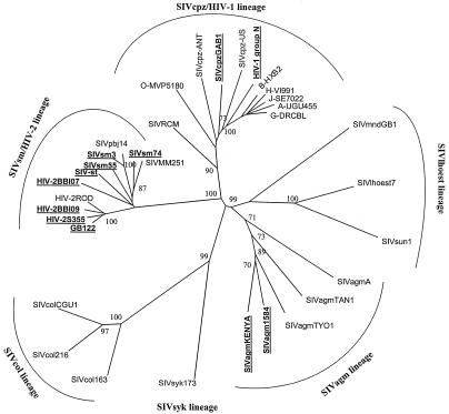 FIG. 2.