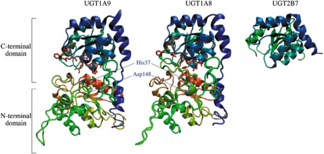 FIGURE 3