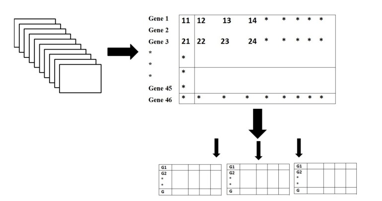 Fig. (1)