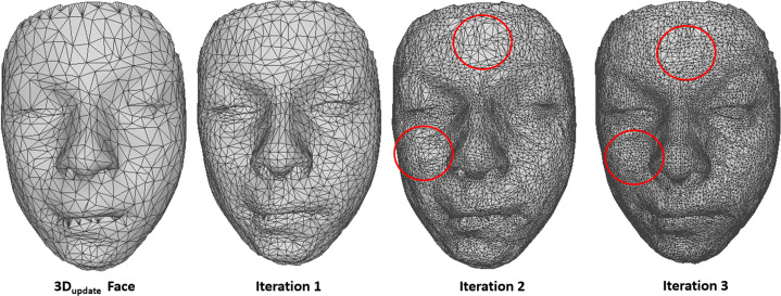 Fig. 13