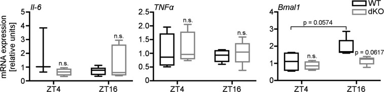 Fig. S4.