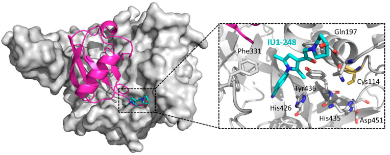 Figure 23