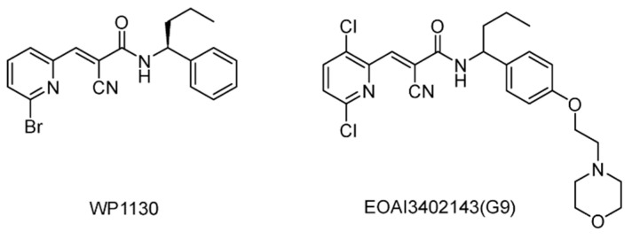 Figure 13