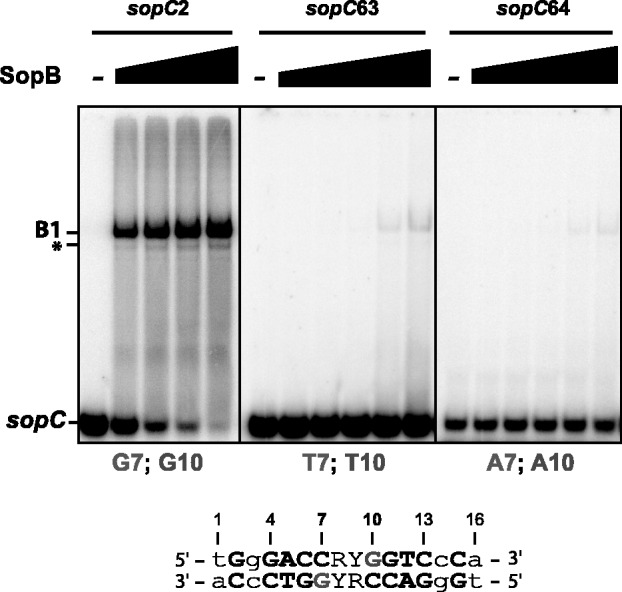 Figure 4.