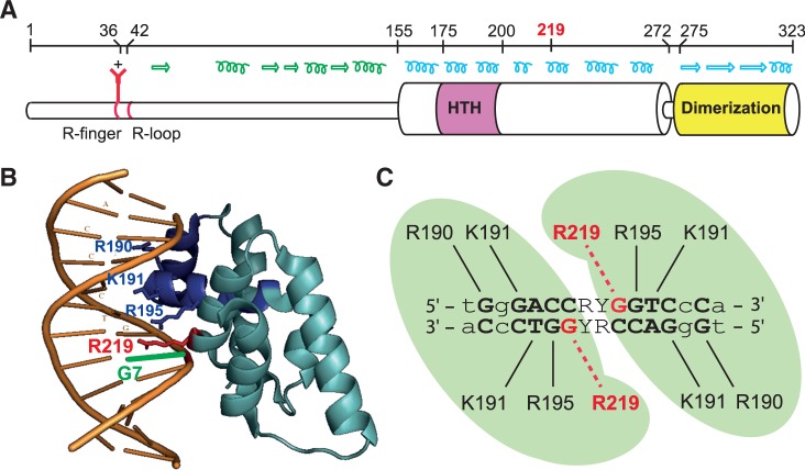 Figure 1.