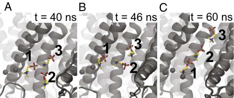 Fig. 3.