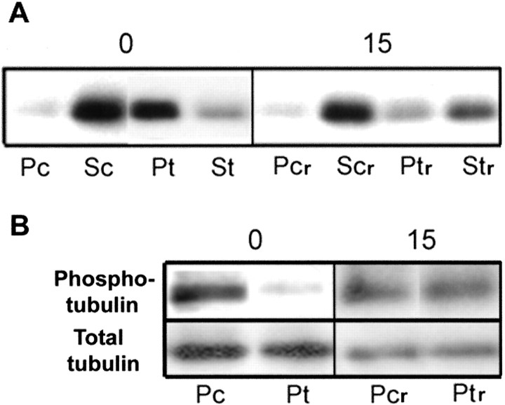 Figure 10.