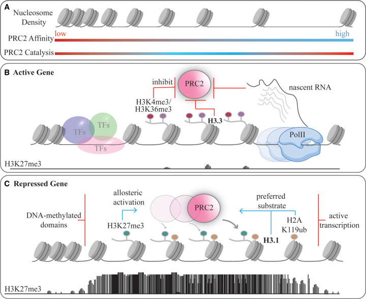 Figure 1.