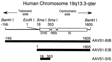 FIG. 1.