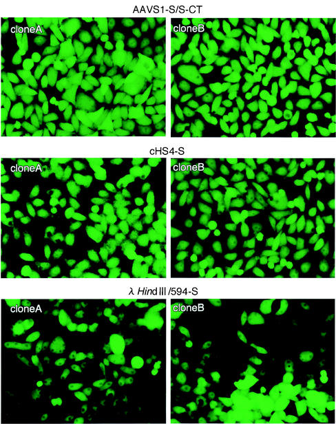 FIG. 6.