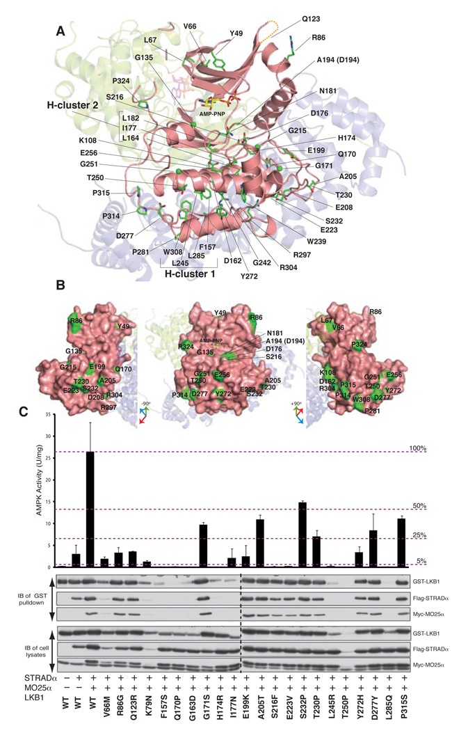 FIGURE 3