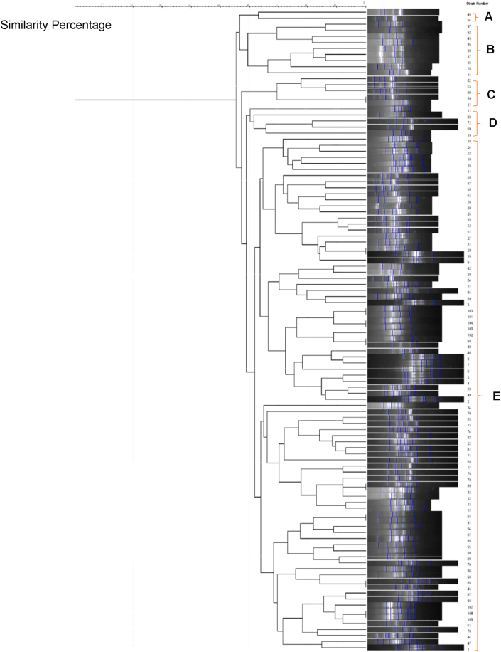 Figure 1